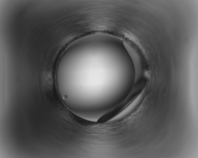 X0000088861218200706151730