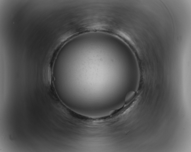 X0000088861219200706151730