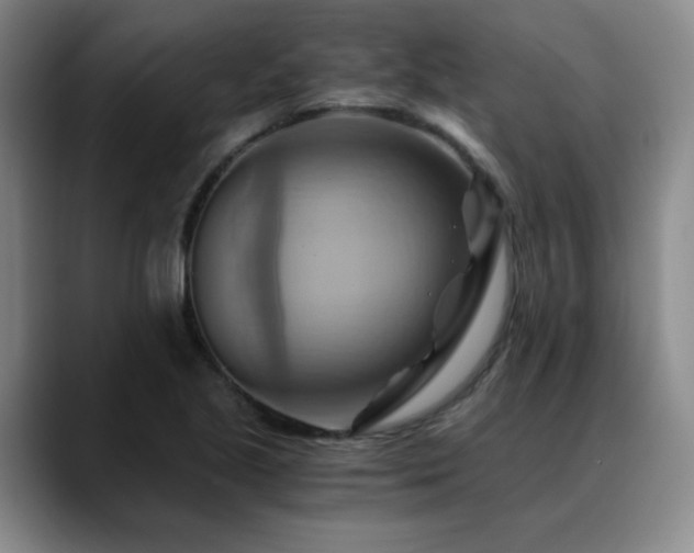 X0000088861221200706151730