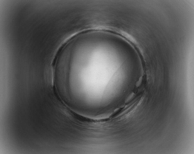 X0000088861223200706151730