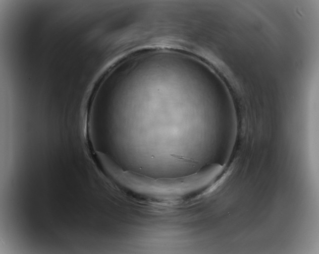 X0000088861224200706151730