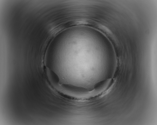 X0000088861225200706151730