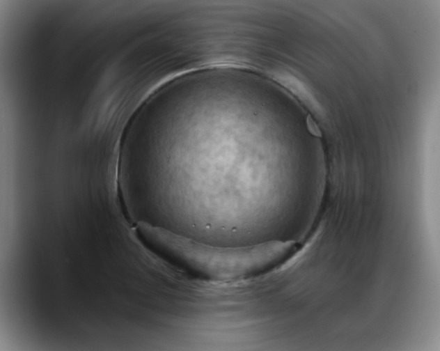 X0000088861228200706151730
