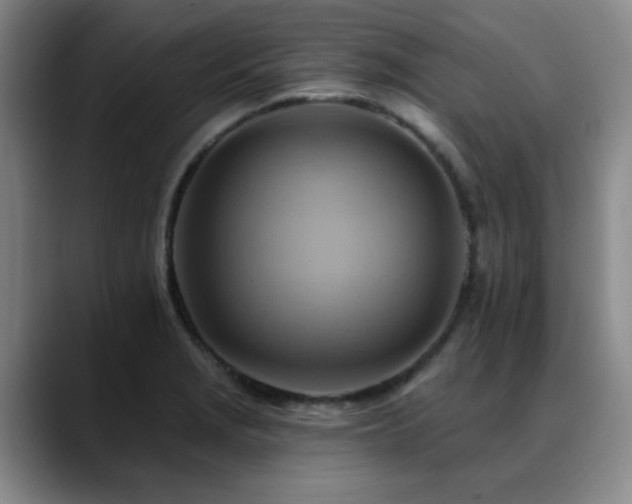 X0000088861229200706151730