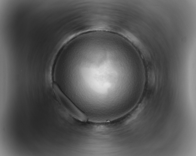 X0000088861230200706151730
