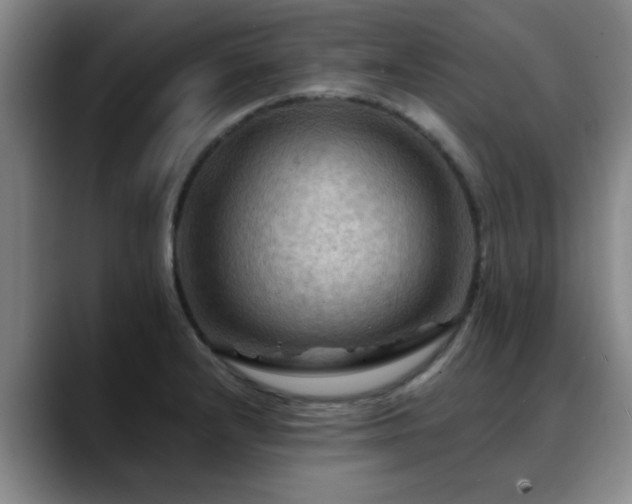 X0000088861232200706151730