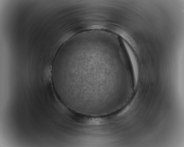 X0000088861233200706151730