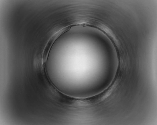 X0000088861234200706151730