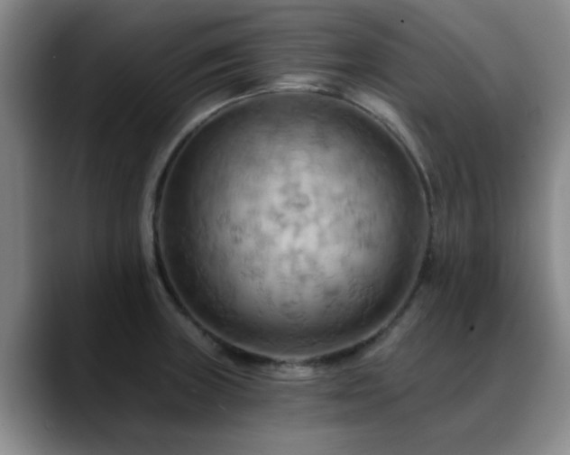 X0000088861235200706151730
