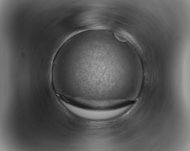 X0000088861236200706151730