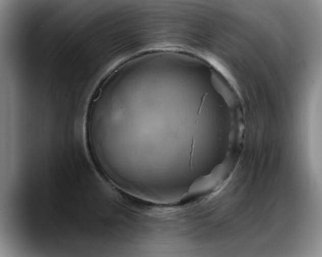 X0000088861237200706151730