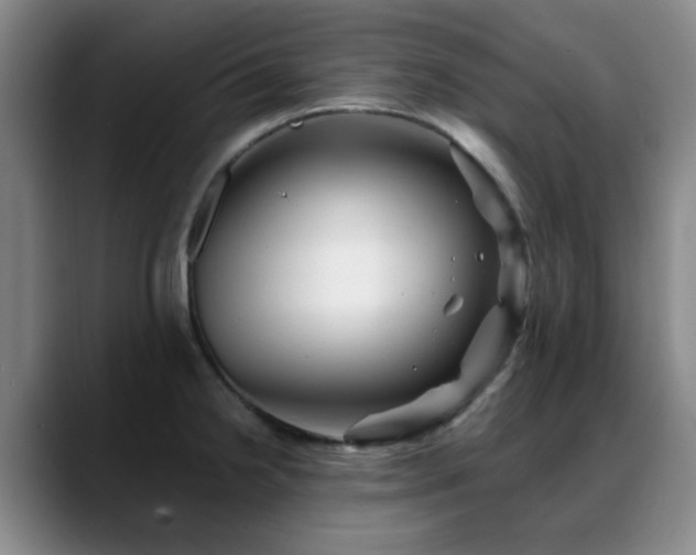 X0000088861238200706151730