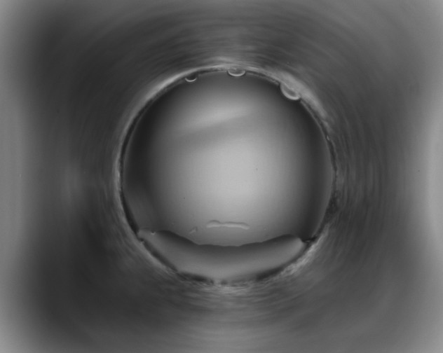 X0000088861239200706151730