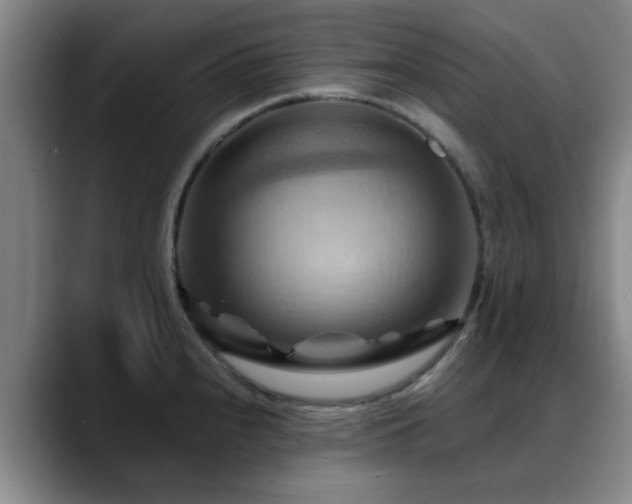 X0000088861240200706151730