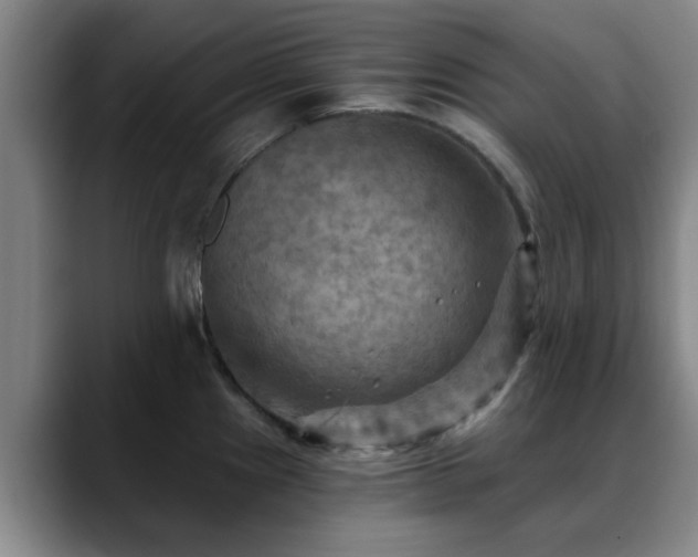 X0000088861241200706151730
