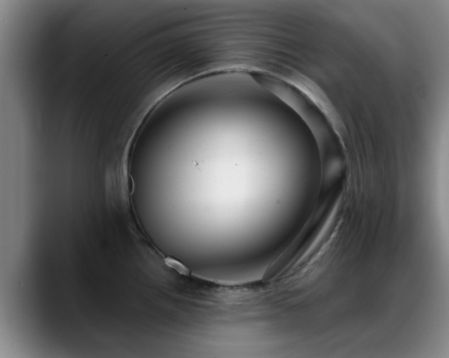 X0000088861242200706151730