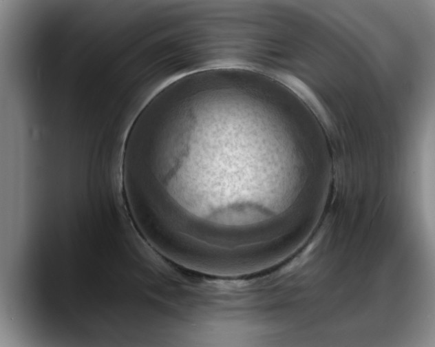 X0000088861244200706151730