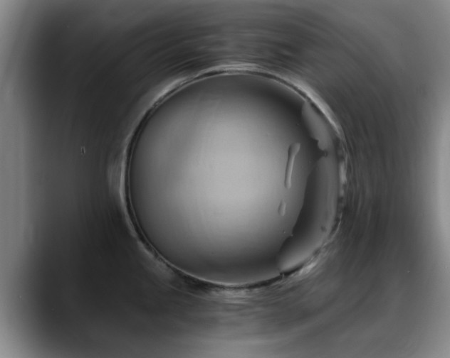 X0000088861245200706151730