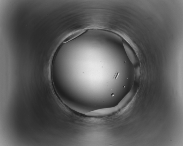 X0000088861246200706151730