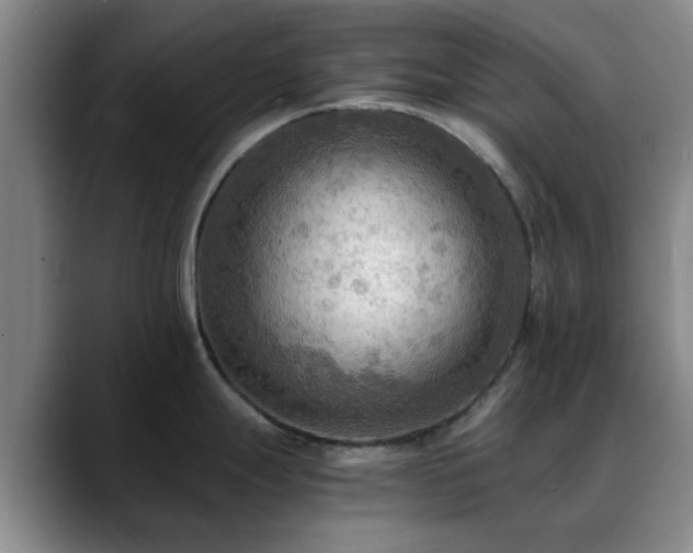 X0000088861247200706151730