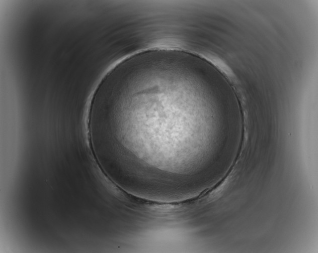 X0000088861248200706151730