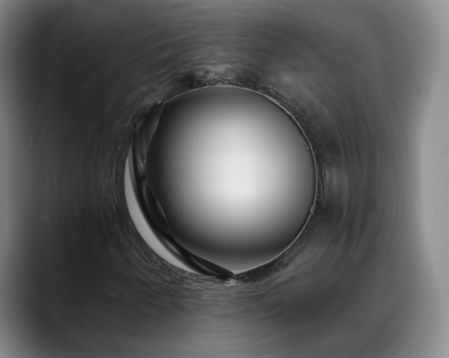 X0000088861250200706151729