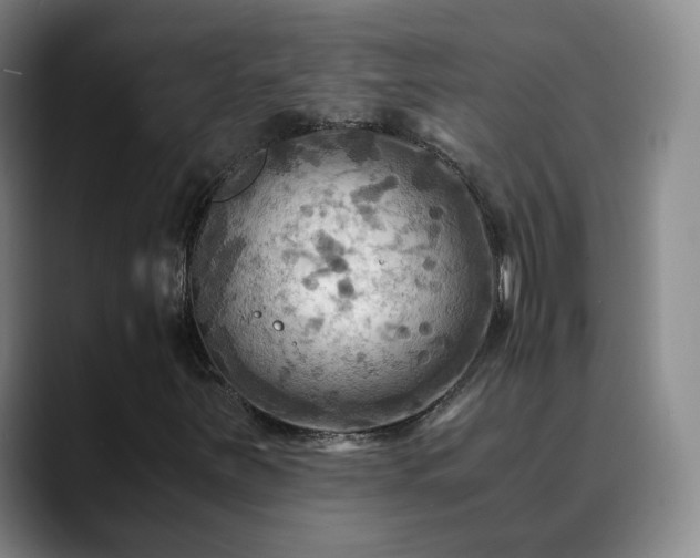 X0000088861251200706151729