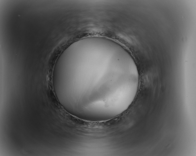 X0000088861254200706151729