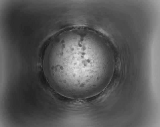 X0000088861255200706151729