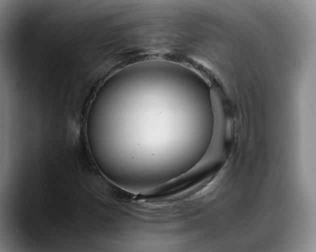 X0000088861257200706151729