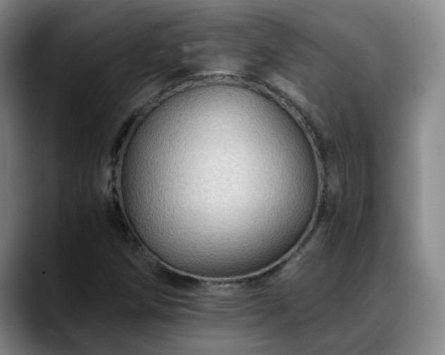 X0000088861258200706151729