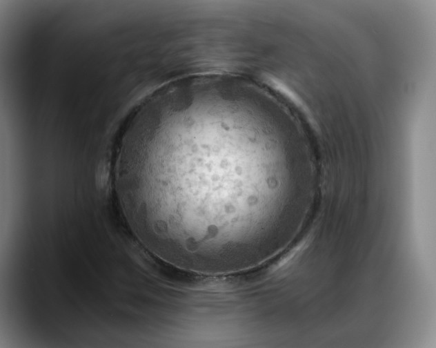 X0000088861259200706151729
