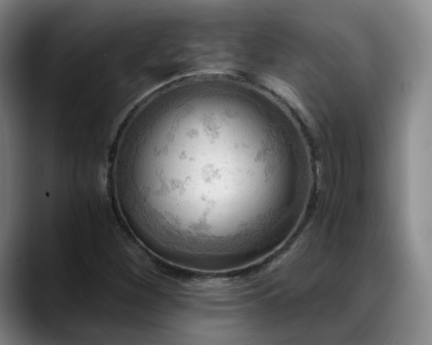 X0000088861260200706151729