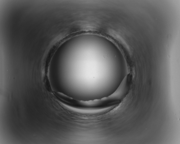 X0000088861261200706151729