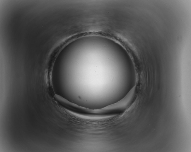 X0000088861262200706151729