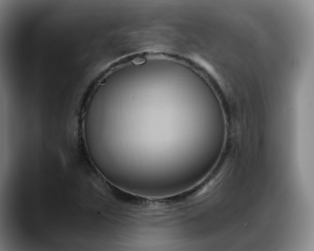 X0000088861263200706151729