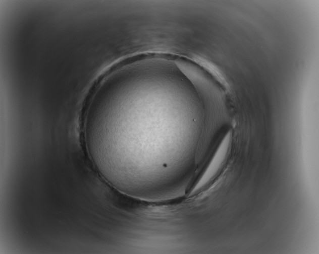 X0000088861264200706151729