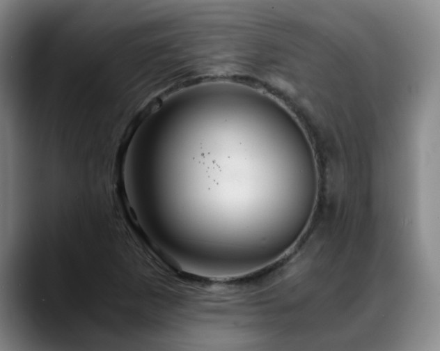 X0000088861265200706151729