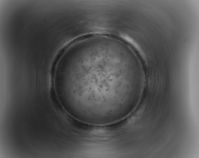 X0000088861267200706151729