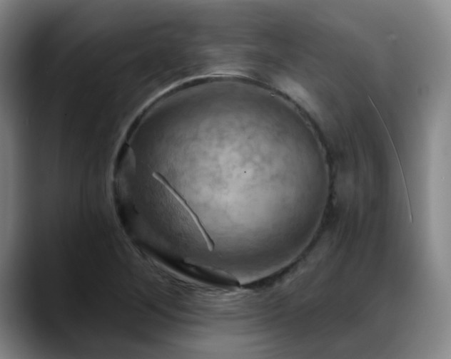 X0000088861268200706151729