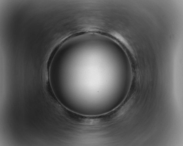 X0000088861269200706151729