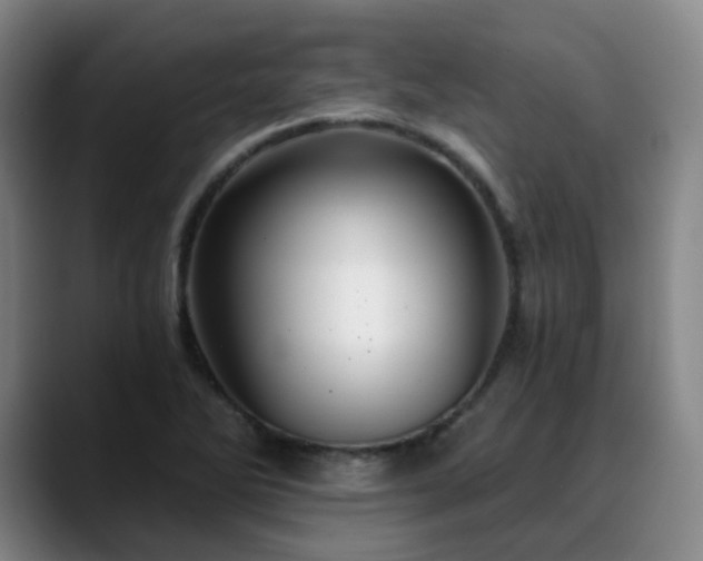 X0000088861270200706151729