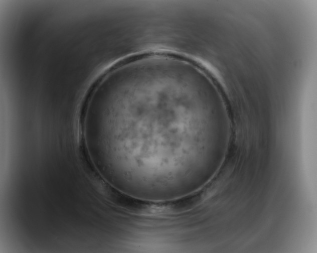 X0000088861271200706151729