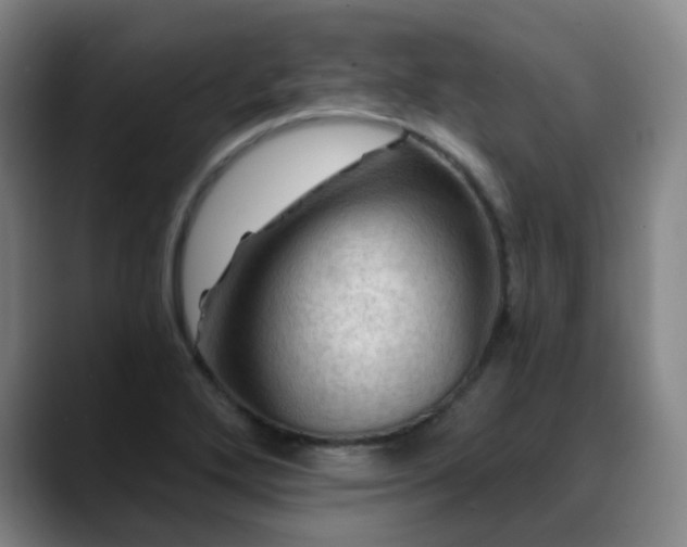 X0000088861272200706151729