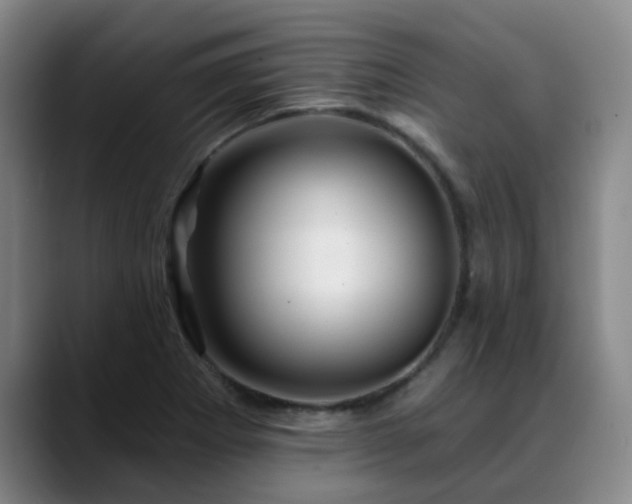 X0000088861273200706151729