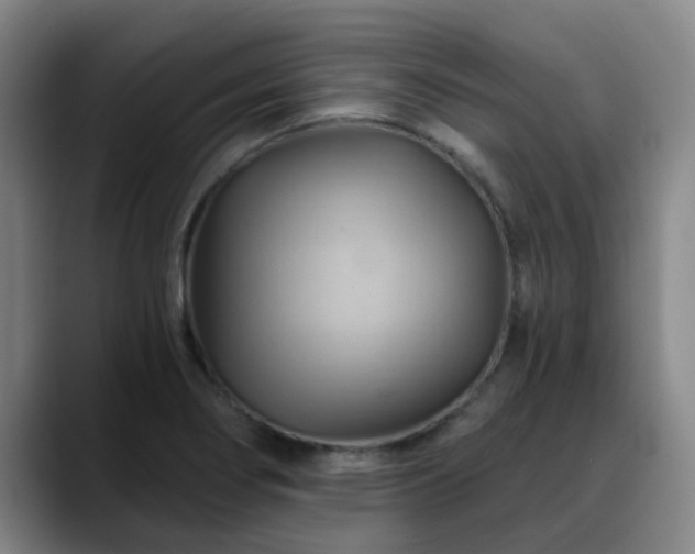 X0000088861274200706151729