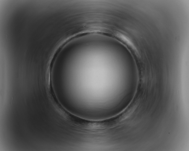 X0000088861275200706151729