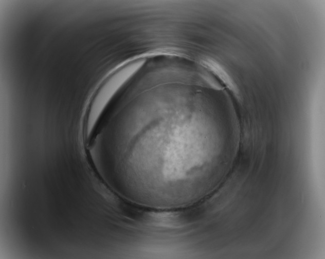X0000088861276200706151729