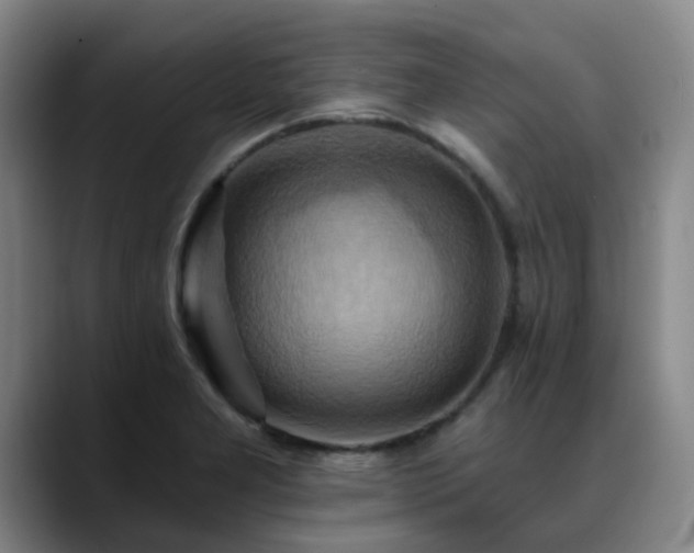 X0000088861277200706151729