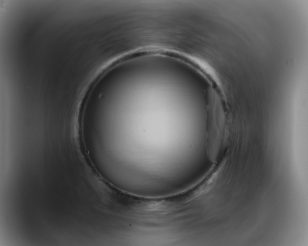 X0000088861279200706151729